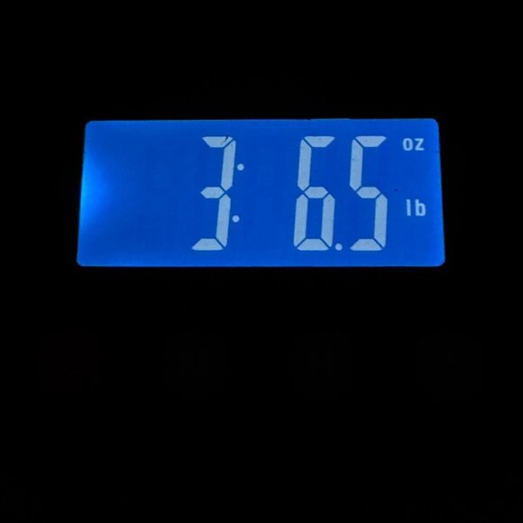 Nautica Waterproof Winter Boots 3M Thinsulate Rubber Sole Zipper Closure 9 M - Picture 8 of 8